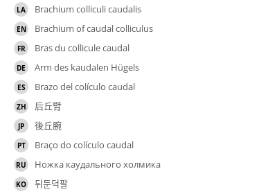 Translations