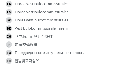 Translations