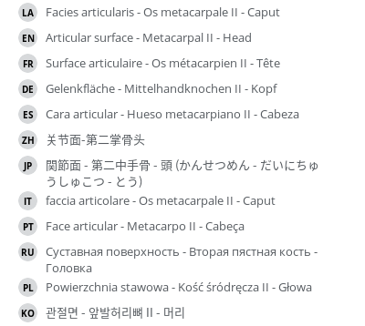Translations