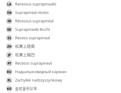 Translations