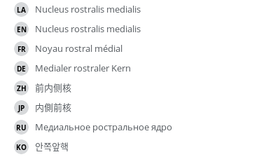 Translations