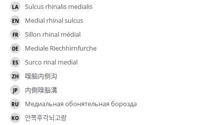 Translations