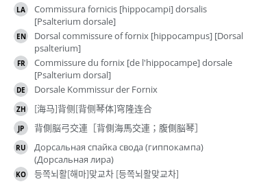 Translations