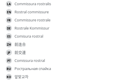 Translations