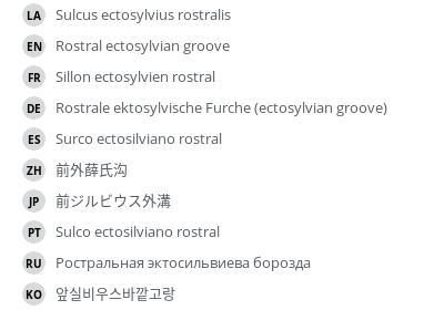 Translations