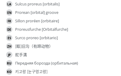 Translations