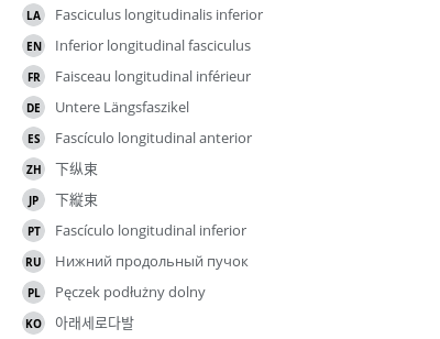 Translations