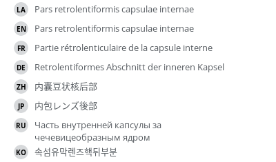 Translations