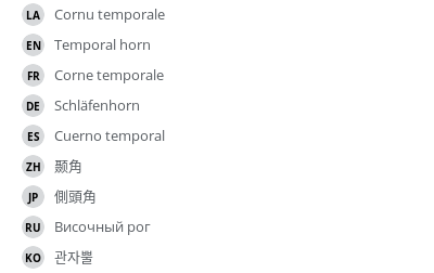 Translations