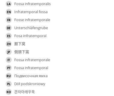 Translations