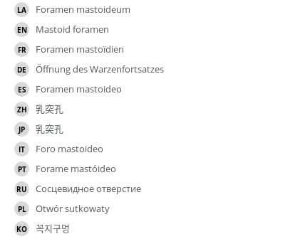 Translations
