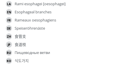 Translations