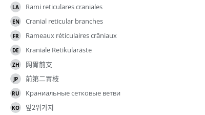 Translations