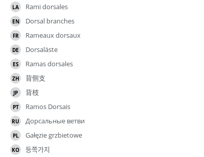 Translations